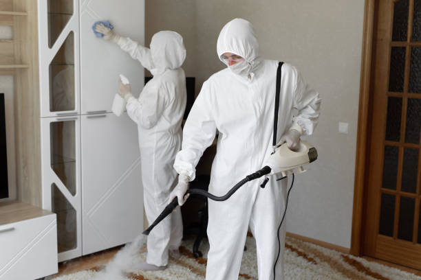 24/7 Emergency Odor Removal experts in Boca Raton, FL
