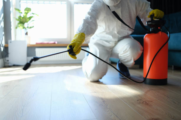 Reliable Odor Removal contractor in Boca Raton, FL by Dulley Family Biohazard Services